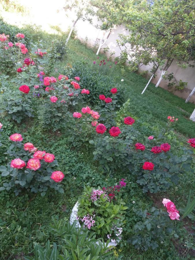 Shymhostle Shymkent Exterior foto