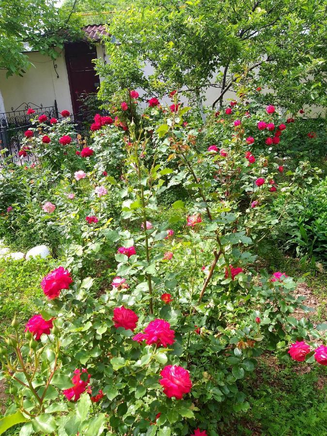 Shymhostle Shymkent Exterior foto